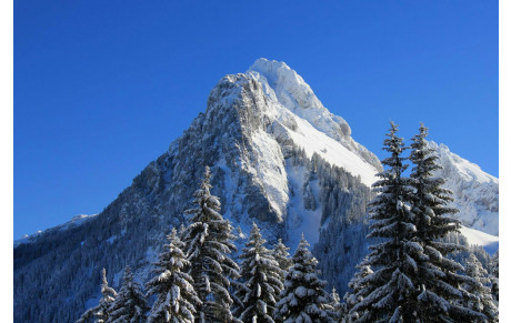 planning automne U12 U16